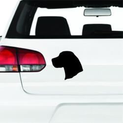  Beagle kutya matrica