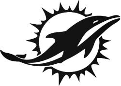  Miami Doplhins matrica