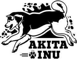  Akita Inu matrica 30 cm