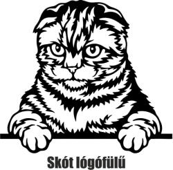 Skót lógófülü macska matrica