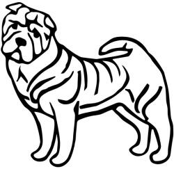  Shar pei matrica 7