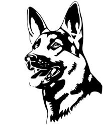  Németjuhász matrica 4