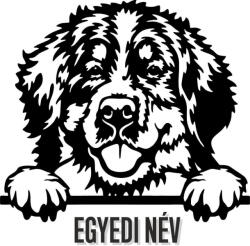  Egyedi neves Berni pásztor matrica