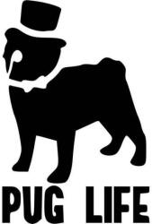  Pug Life matrica