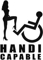 Handi Capable - Autómatrica