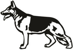  Németjuhász matrica 6