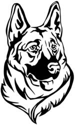  Németjuhász matrica 18