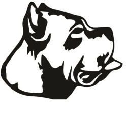  Cane corso matrica 2