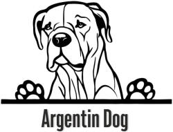  Argentin dog matrica 30 cm
