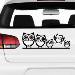  Bagoly család matrica