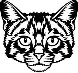  Díszes macska matrica 6