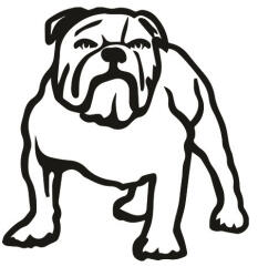  Angol bulldog matrica 13