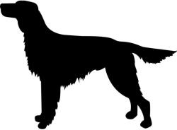  Ír szetter matrica 1