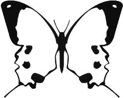  Pillangó 2 autómatrica