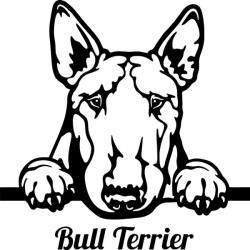  Bullterrier matrica 30 cm
