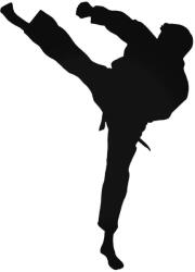  Karate rugás matrica
