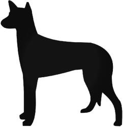  Ibizai vadászkutya matrica