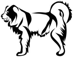  Kaukázusi juhászkutya matrica 1