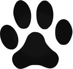  Kutyatappancs autómatrica