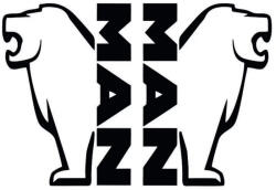 MAN kamion ajtómatrica készlet ajtóra 2 db 30x20 cm