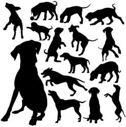  Dalmata matrica szett