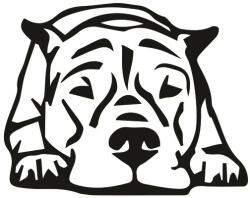  Argentin dog matrica 2