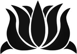  Lótuszvirág Autómatrica