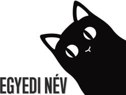  Macska dekoráció egyedi névvel