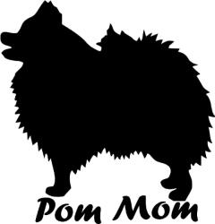  Pomerániai törpespicc matrica 1