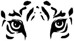 Leopárd szemek autómatrica