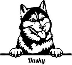  Husky matrica 15