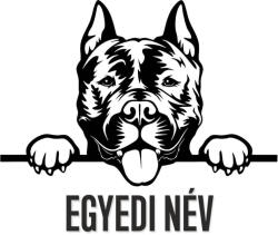  Amstaff egyedi névvel