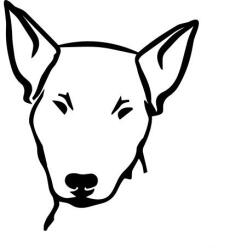  Bullterrier matrica 3