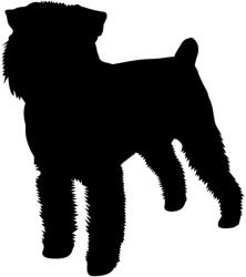  Brüsszeli griffon matrica 1