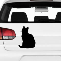  Rövidszőrű Macska matrica