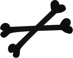  Csak csontok Autómatrica