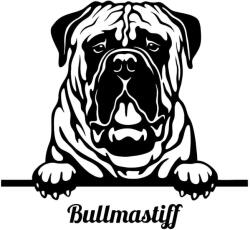  Bullmasztiff matrica 2