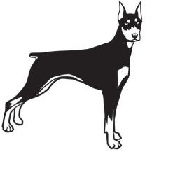  Dobermann matrica 12