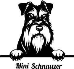  Mini Schnauzer matrica