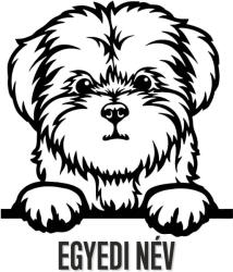  Máltai matrica egyedi névvel