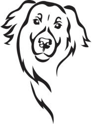  Újfundlandi matrica 1