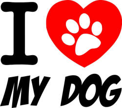  Kutya az autóban matrica 2