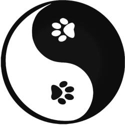  Kutyatappancs Jin-Jang matrica