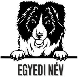 Egyedi neves Border collie matrica