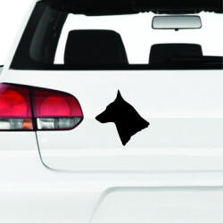  Belga Malamut matrica