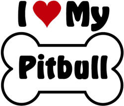  Pitbull matrica 14