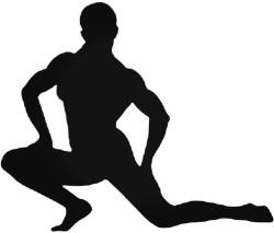  Body Building Autómatrica