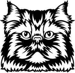  Díszes macska matrica 5