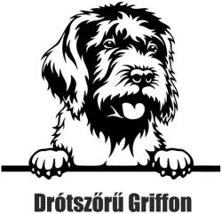  Drótszőrű griffon matrica
