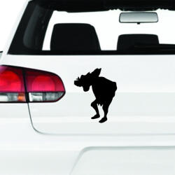  Quasimodo Autómatrica